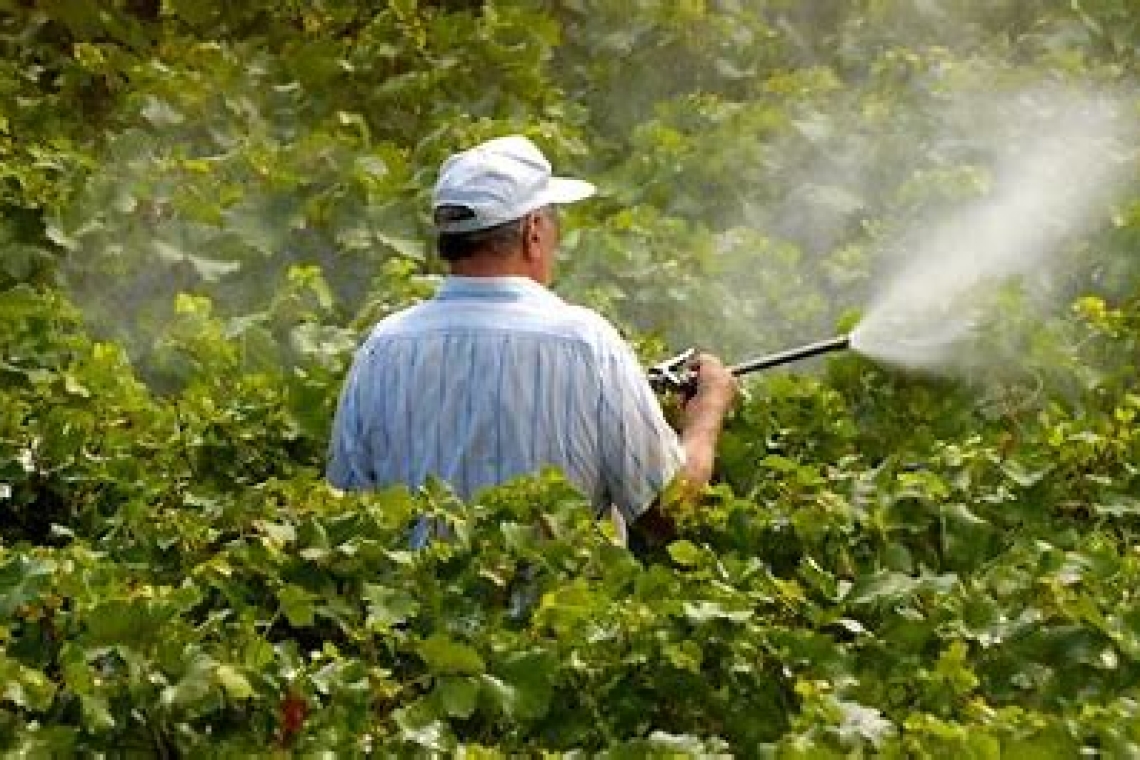 OMONDO SANTÉ - Pesticides : une fleuriste réclame la reconnaissance du préjudice de sa fille, morte à 11 ans